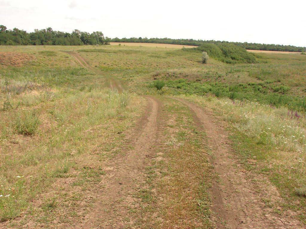 Новий Донбас з panoramio.com - Новий Донбас