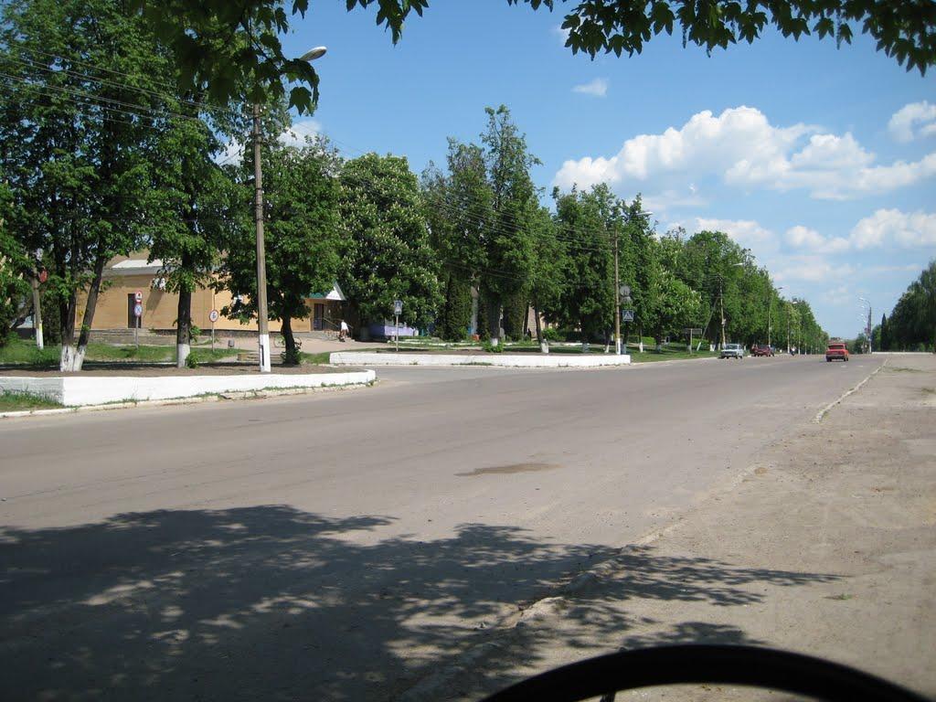 Срібне з panoramio.com - Сребное