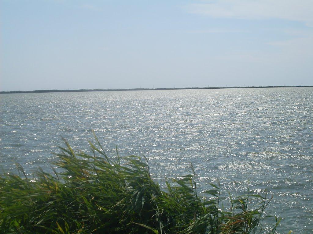 Рисове з panoramio.com - Рисовое