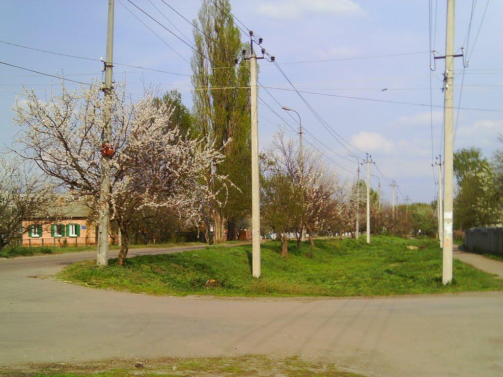 Прилуки з panoramio.com - Прилуки