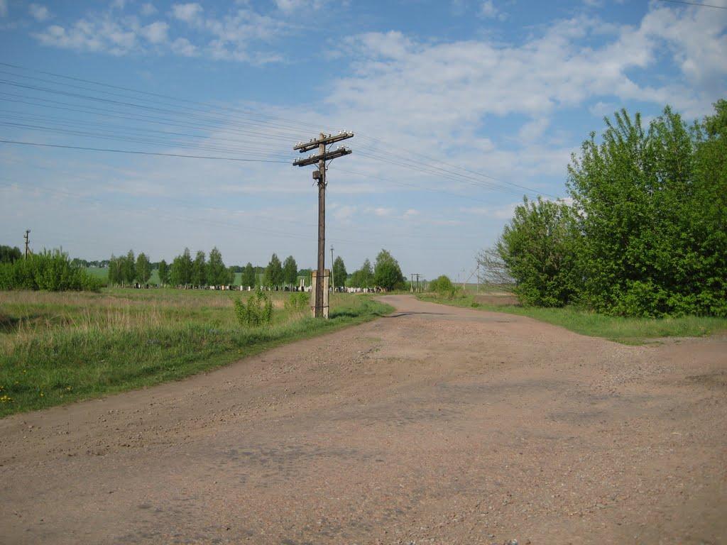Срібне з panoramio.com - Сребное