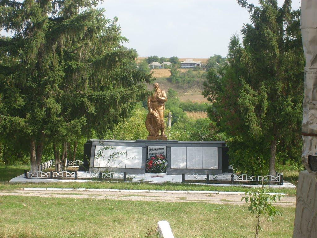 Федосіївка з panoramio.com - Федосеевка