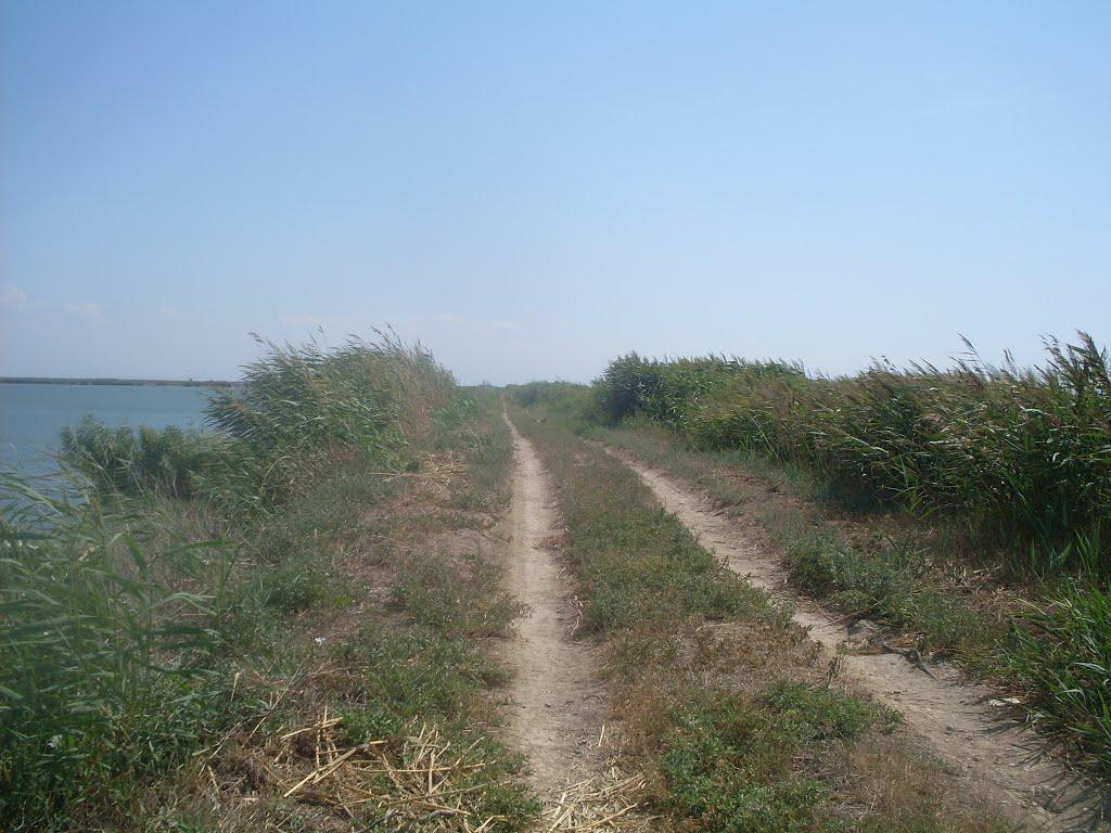 Рисове з panoramio.com - Рисовое