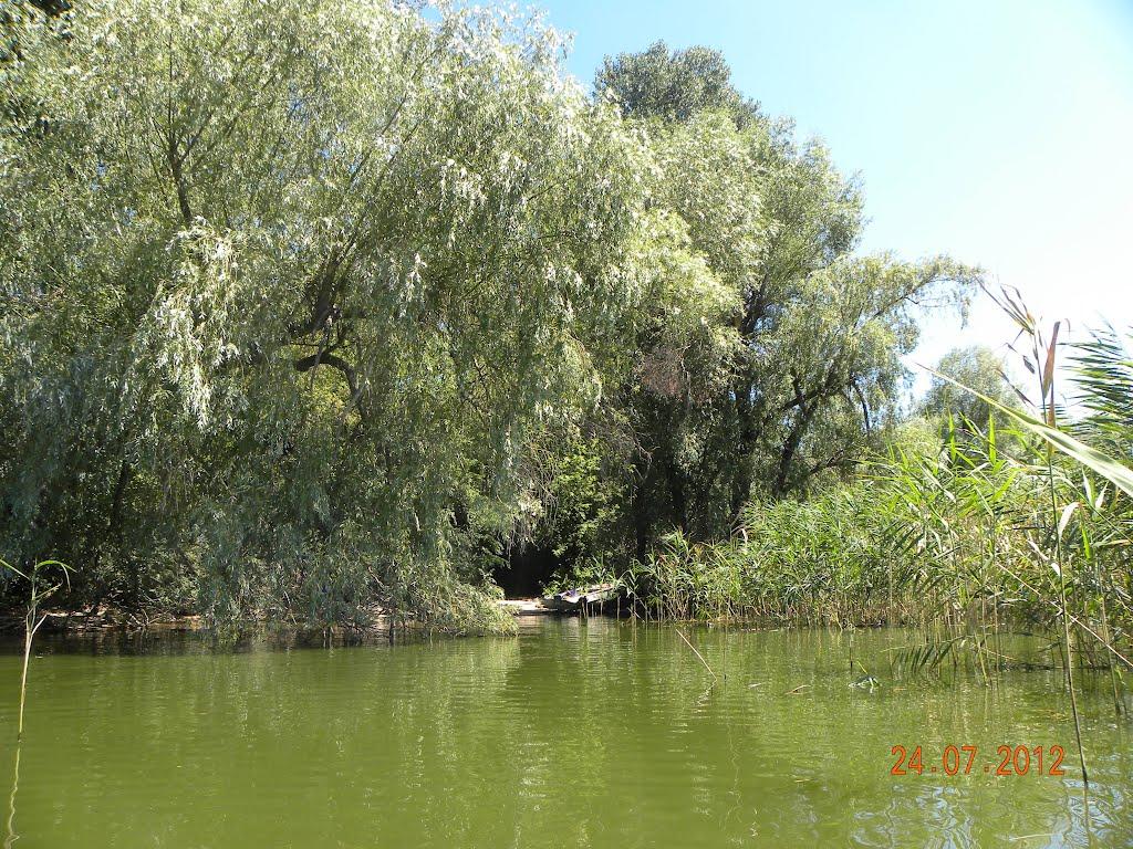 Жовнине з panoramio.com - Жовнине