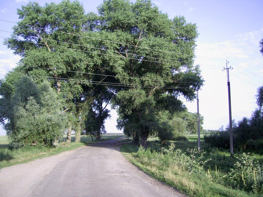 Сидорівка з panoramio.com - Сидорівка