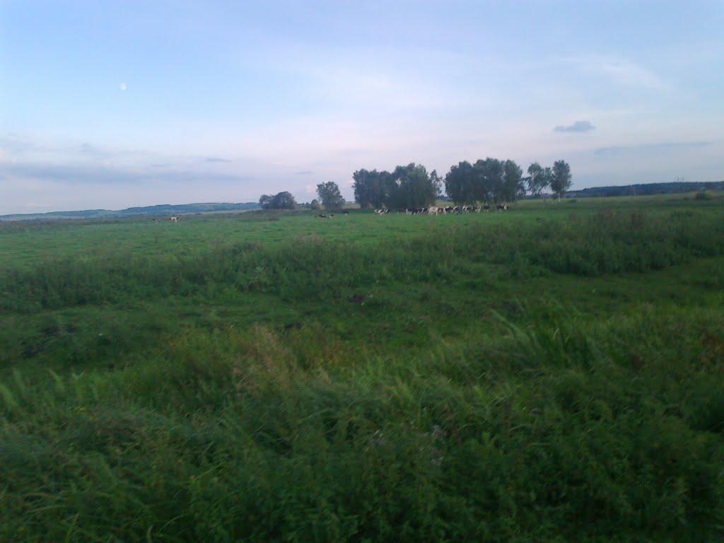 Сатиїв з panoramio.com - Сатыев