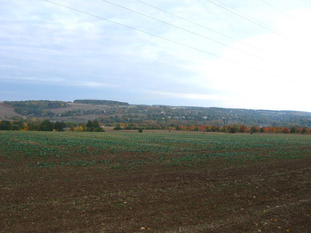Заозерне з panoramio.com - Заозерное