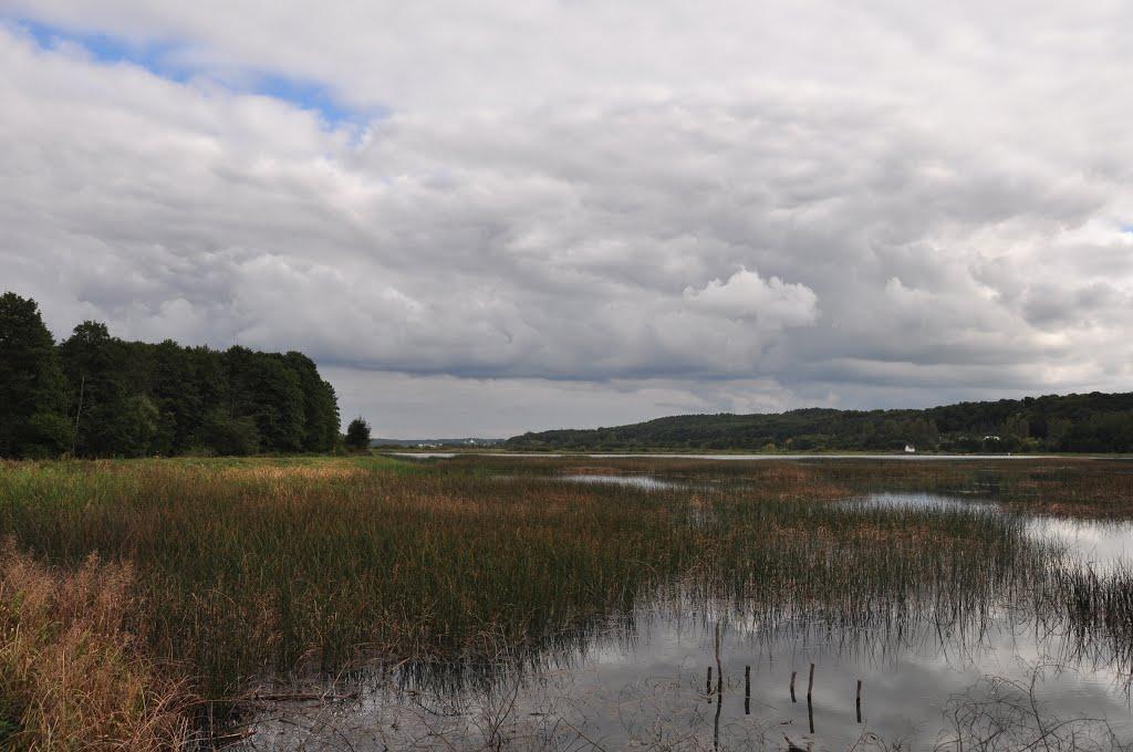 Лелехівка з panoramio.com - Лелехівка
