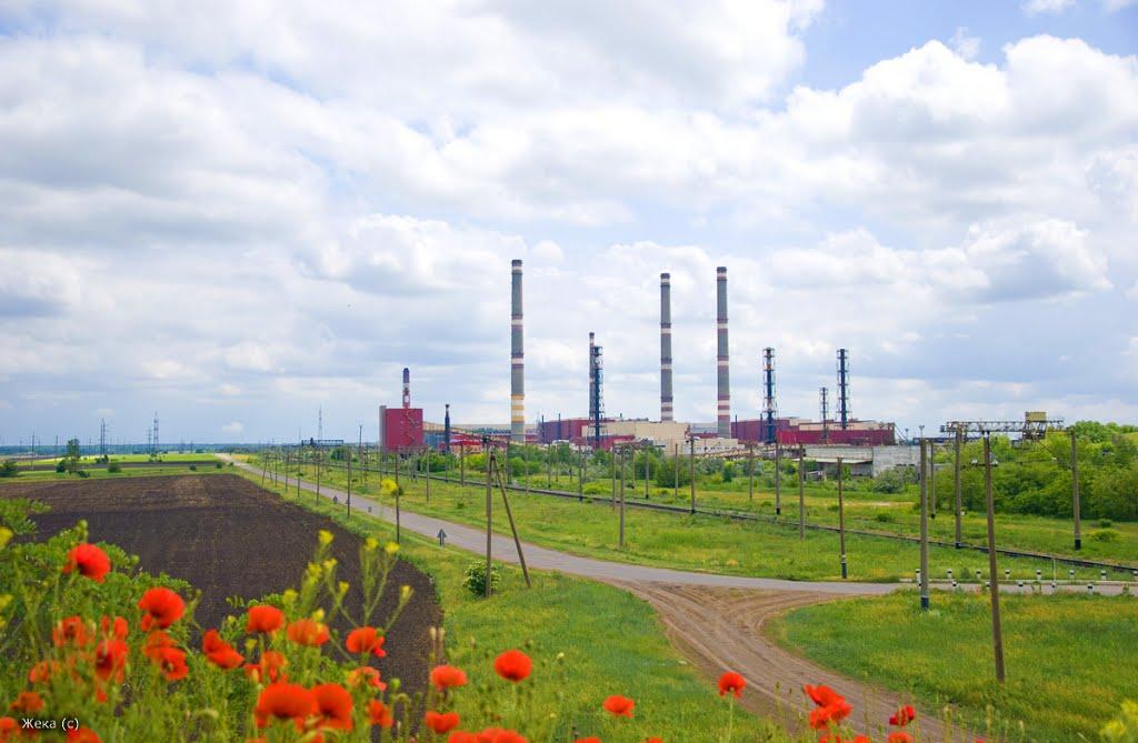 Червоне Озеро з panoramio.com - Червоное Озеро