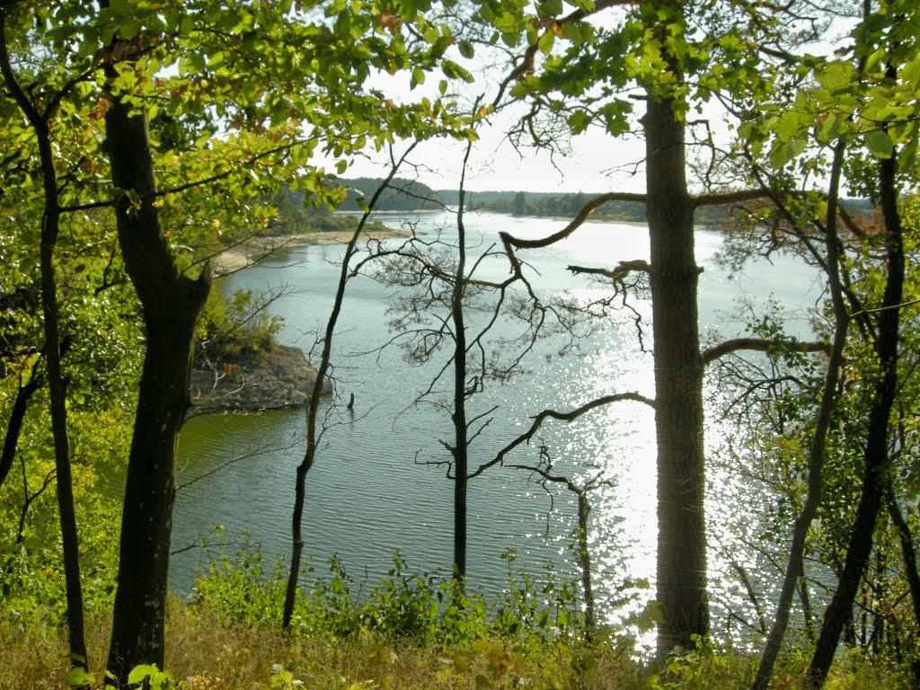 Буки з panoramio.com - Буки