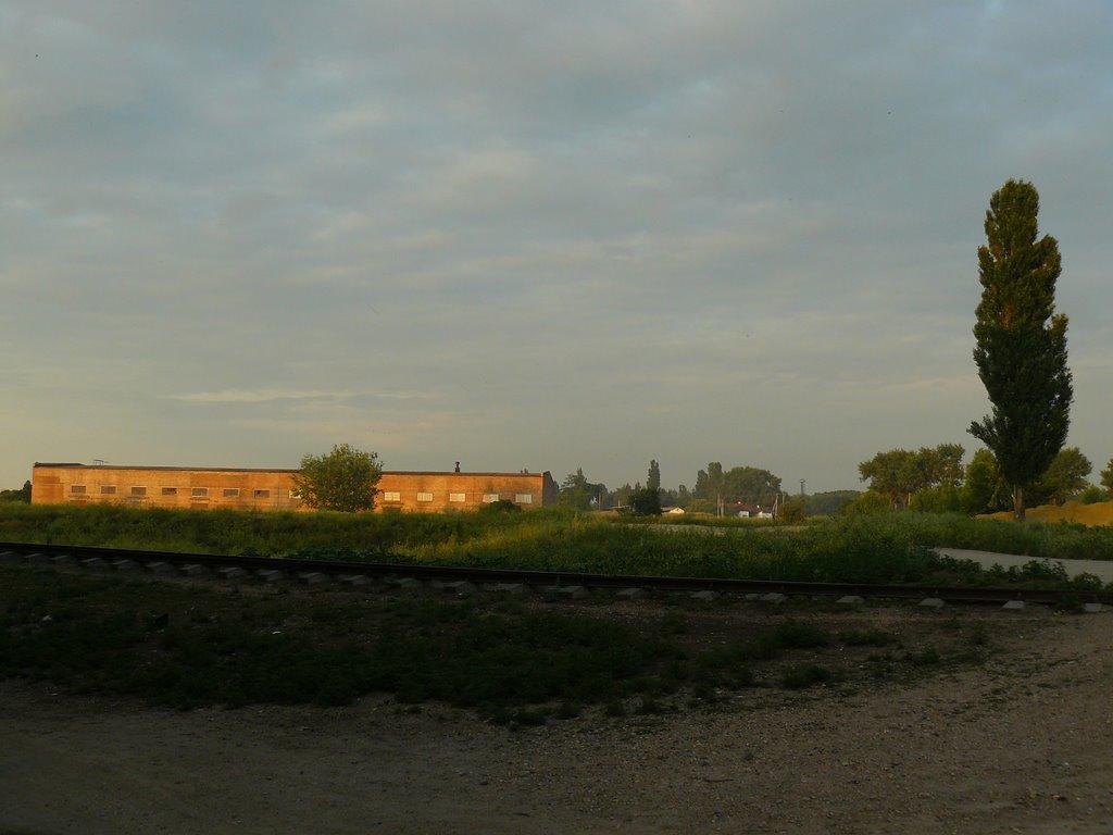 Протопопівка з panoramio.com - Протопопівка