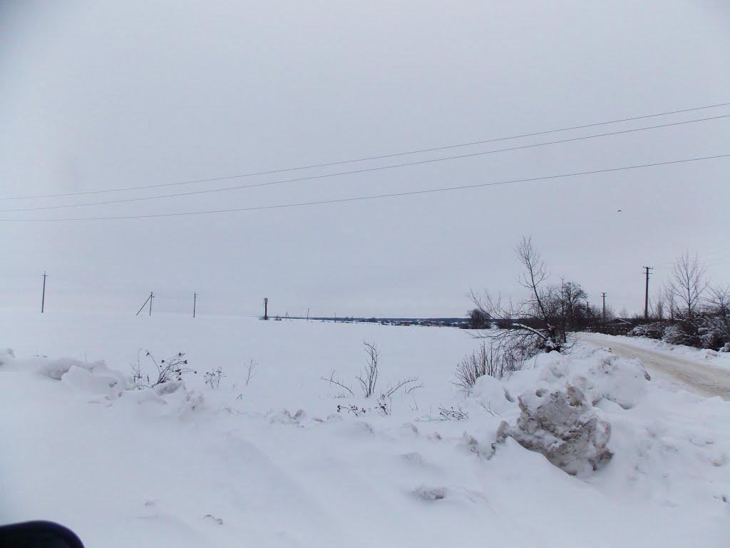 Степанівка з panoramio.com - Степанівка