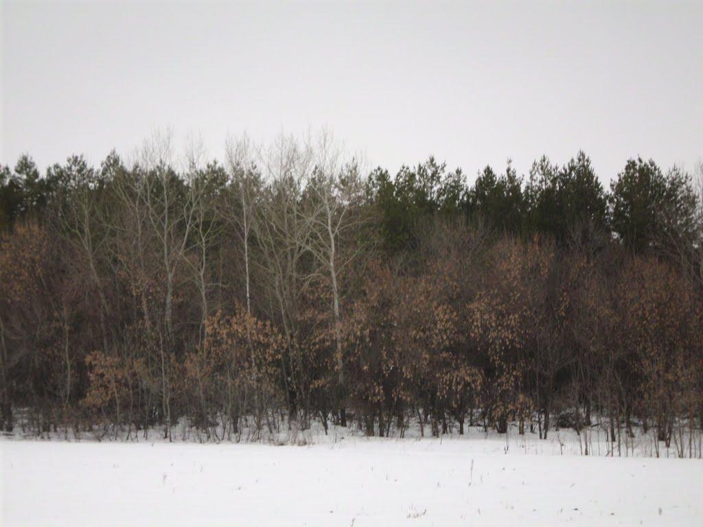 Жовтневе з panoramio.com - Жовтневое
