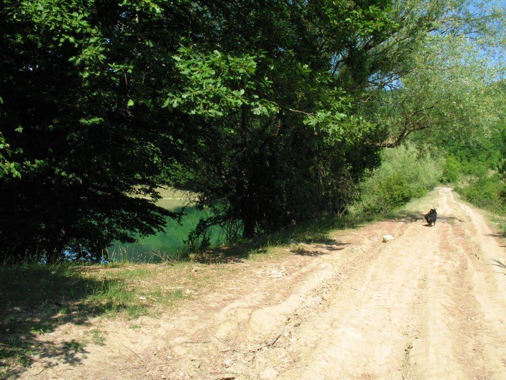 Багата Ущелина з panoramio.com - Bagata Uschelyna