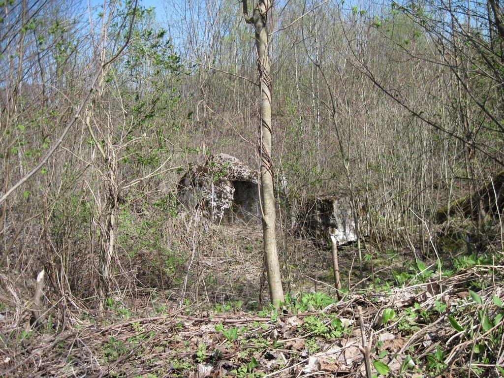 Пісків з panoramio.com - Песков