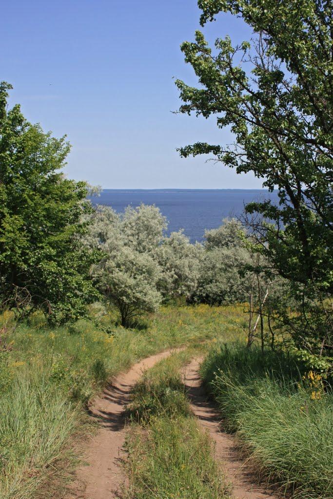 Григорівка з panoramio.com - Григорівка