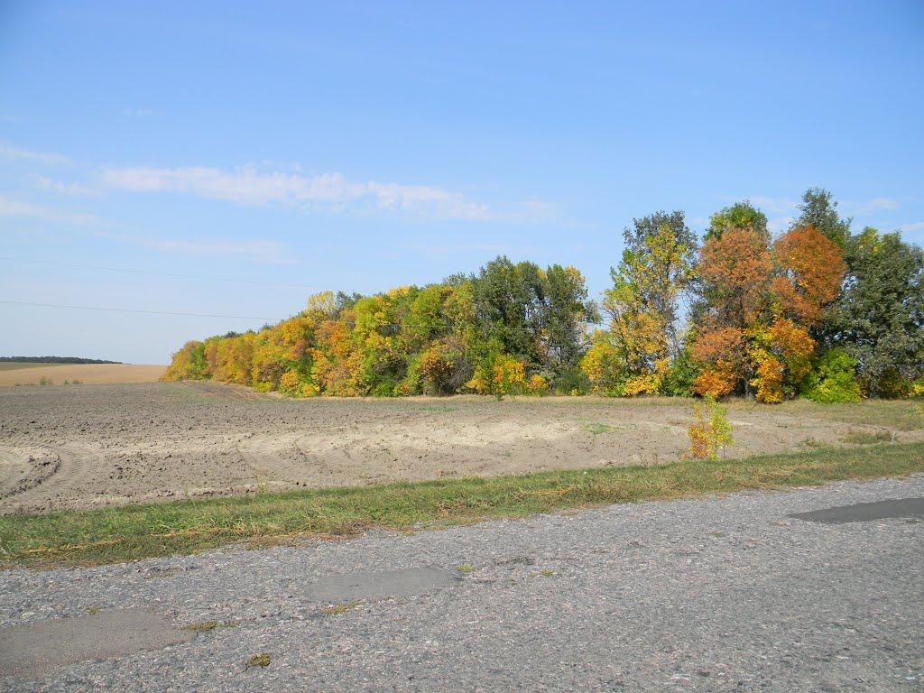 Красносілля з panoramio.com - Красносілля