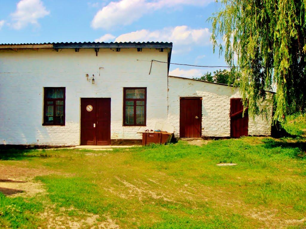 Звенигородка з panoramio.com - Zvenigorodka