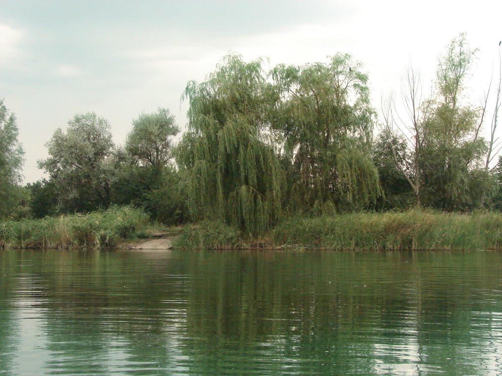 Новий Донбас з panoramio.com - Новий Донбас