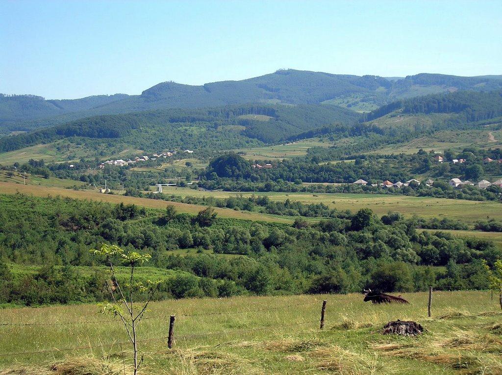 Жборівці з panoramio.com - Жборівці