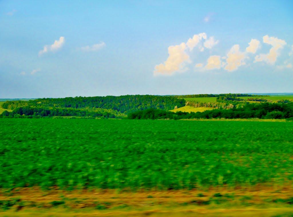 Смільчинці з panoramio.com - Смельчинцы