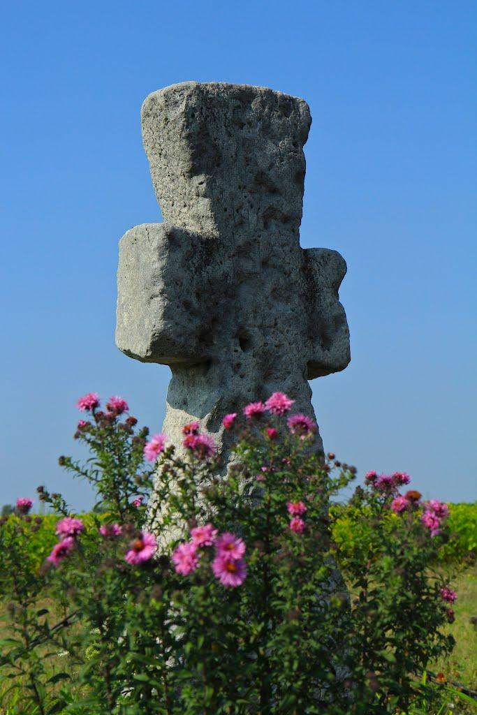 Копачів з panoramio.com - Копачов