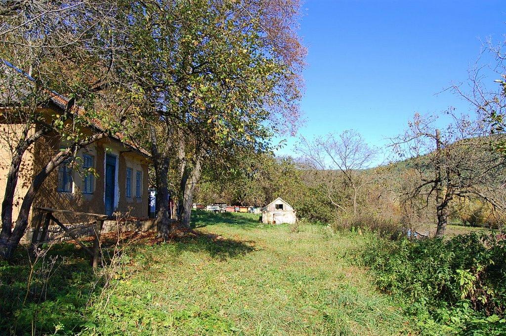 Крушанівка з panoramio.com - Крушанівка