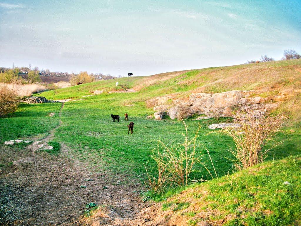 Назарівка з panoramio.com - Назарівка