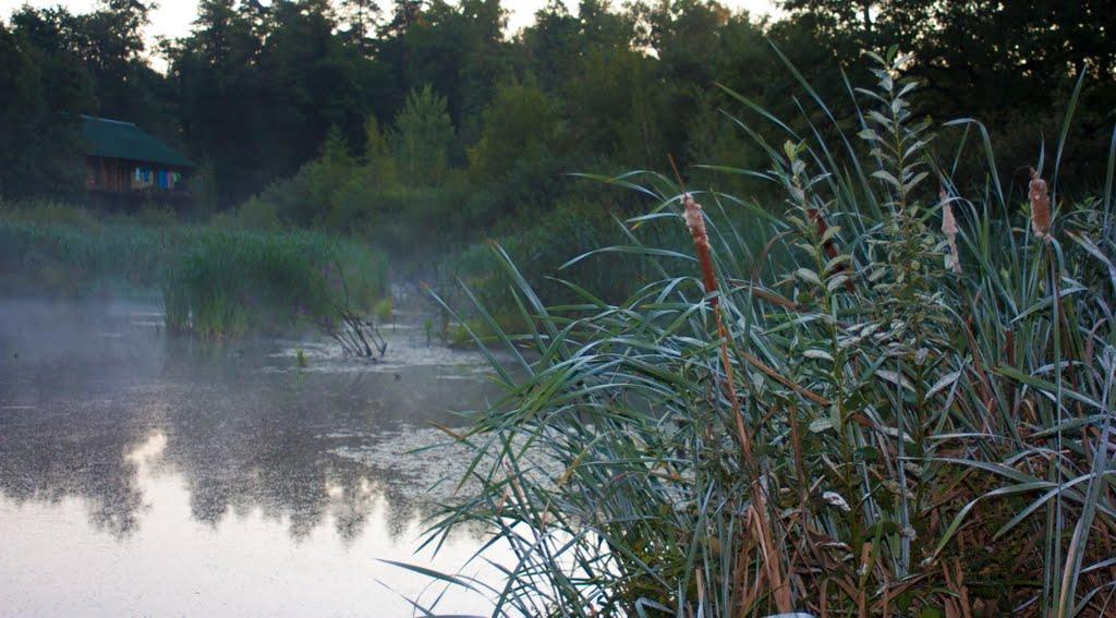 Райгородок з panoramio.com - Raygorodok