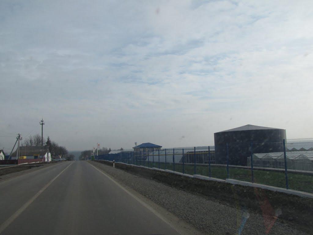 Синьків з panoramio.com - Синьків