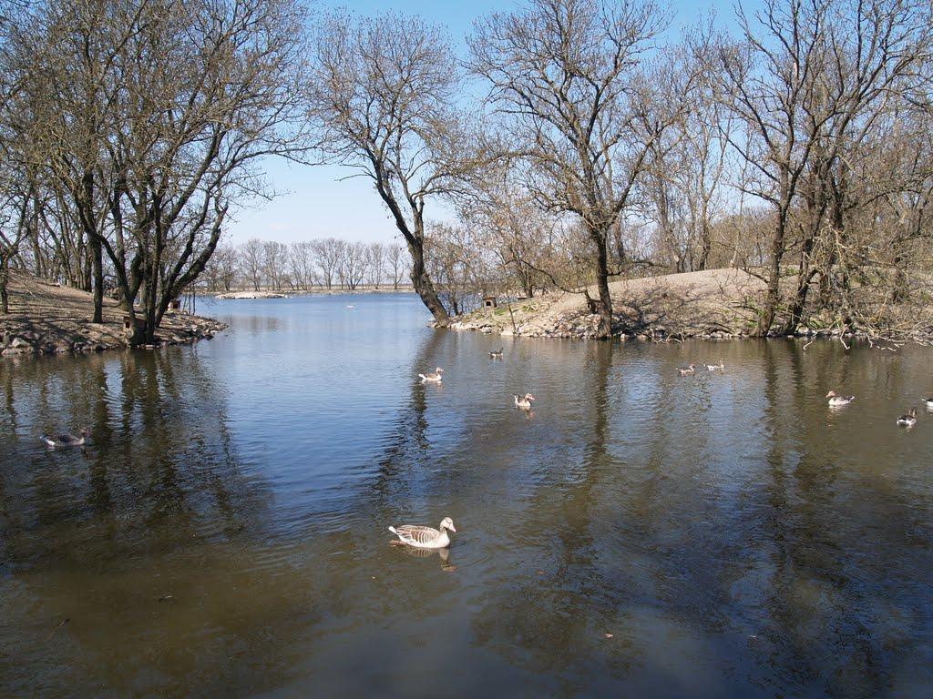 Асканія-Нова з panoramio.com - Askaniya-Nova
