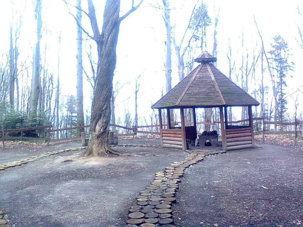 Товмачик з panoramio.com - Товмачик