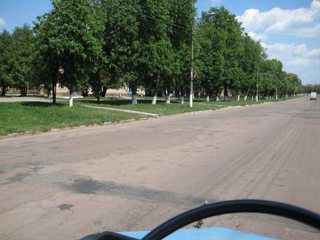 Срібне з panoramio.com - Сребное