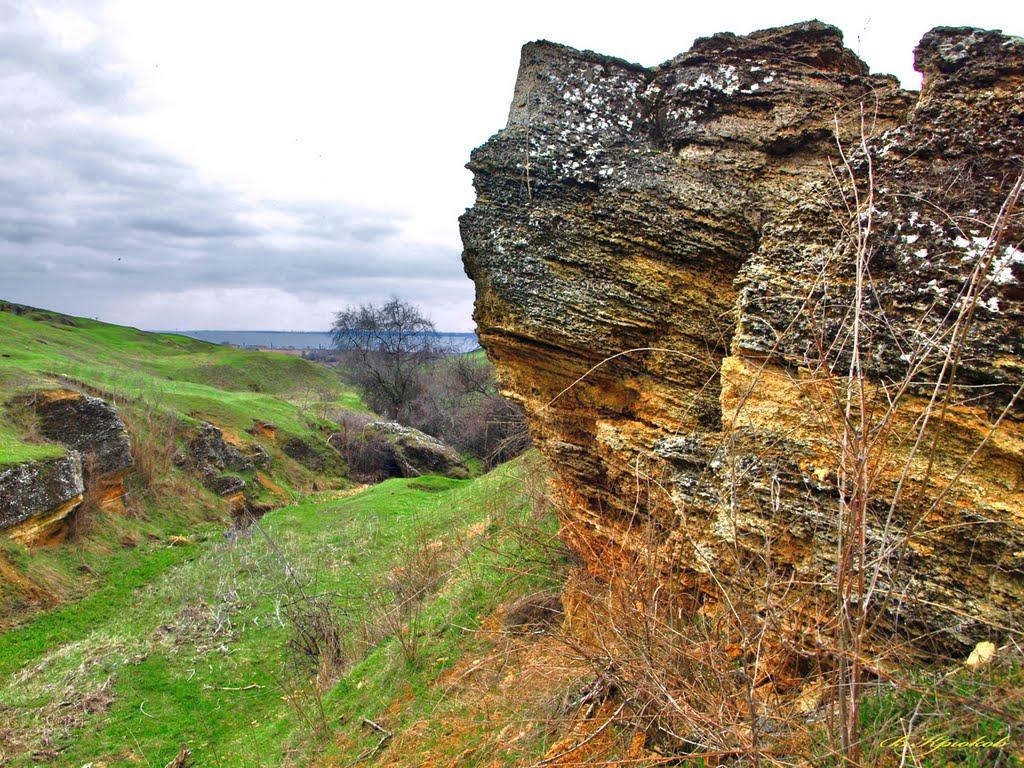 Миколаївка з panoramio.com - Mykolaivka