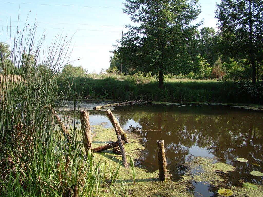 Свидівок з panoramio.com - Свидовок