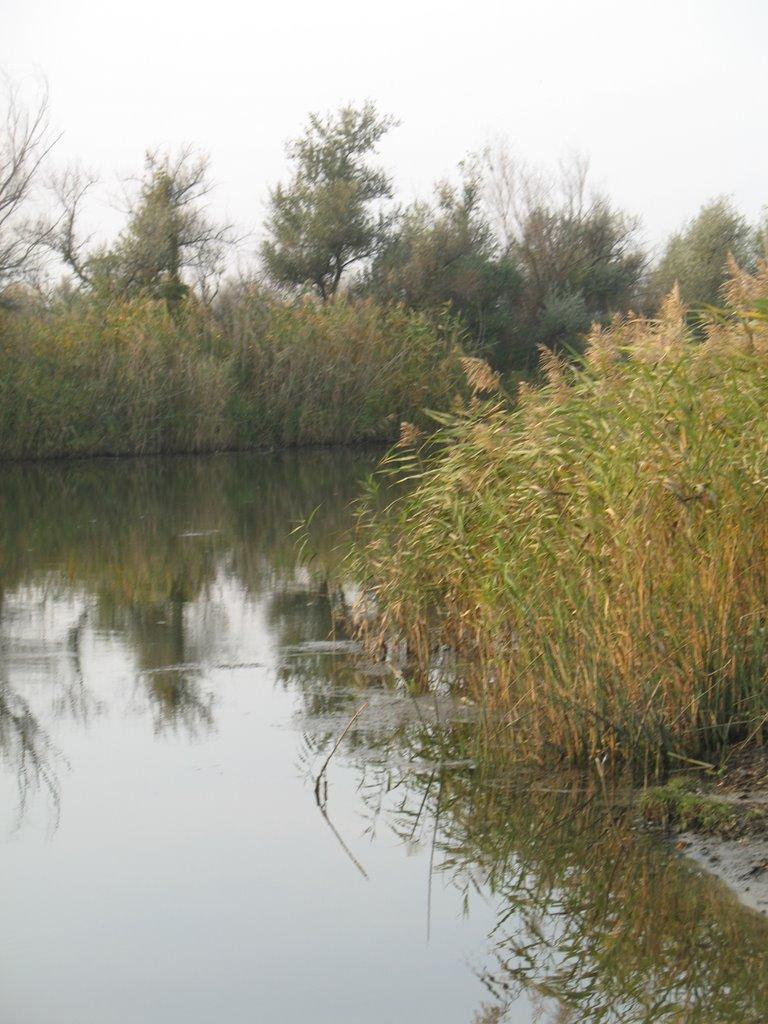 Балівка з panoramio.com - Баловка