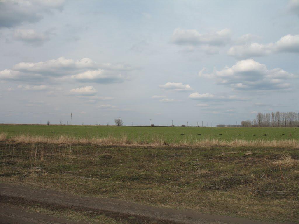 Великі Хутори з panoramio.com - Великі Хутори