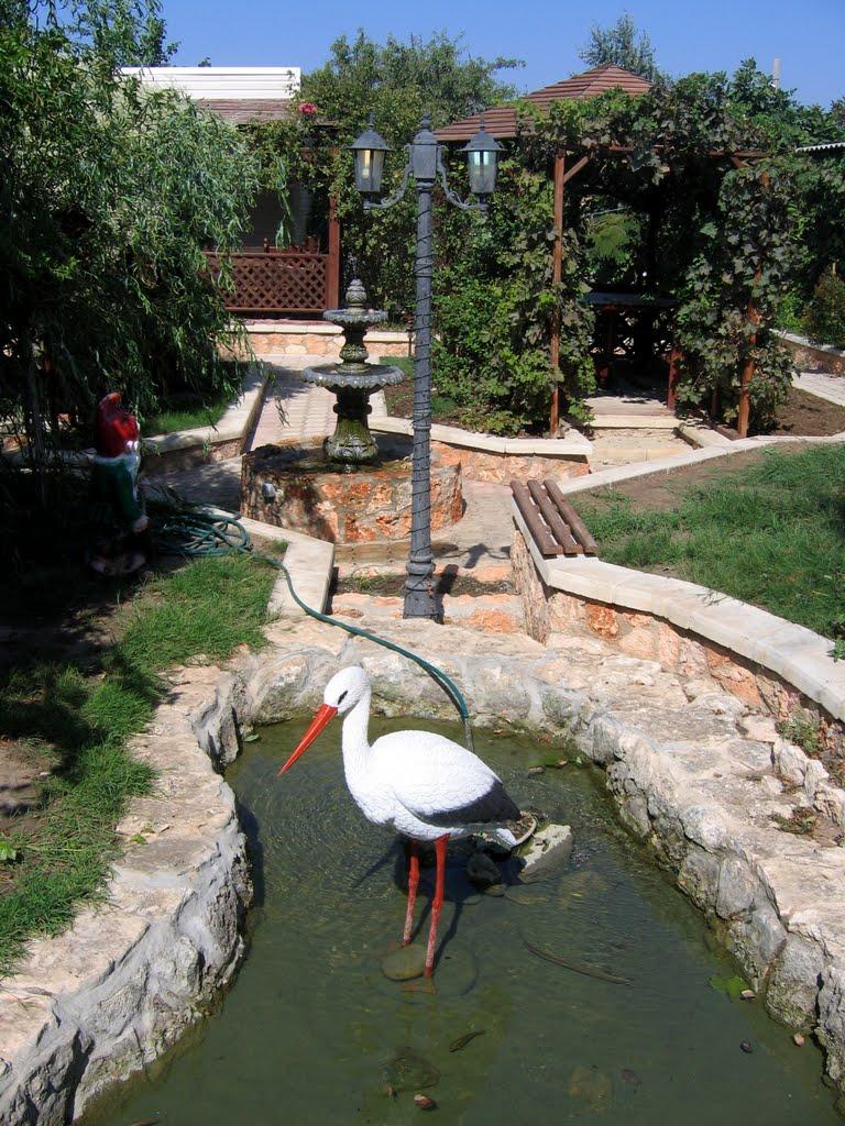 Стеблів з panoramio.com - Stebliv