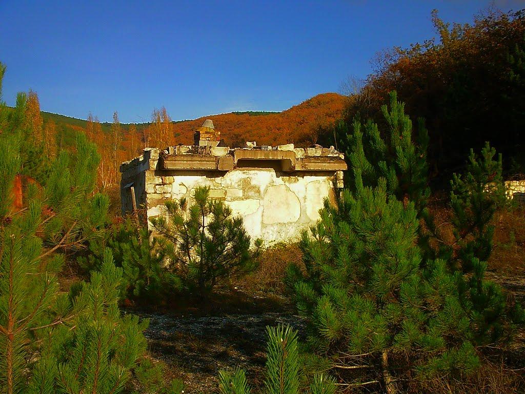 Голубинка з panoramio.com - Golubynka