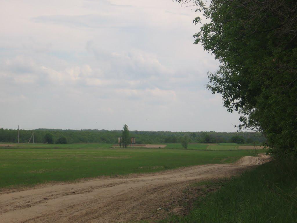 Новоселівка з panoramio.com - Новоселівка