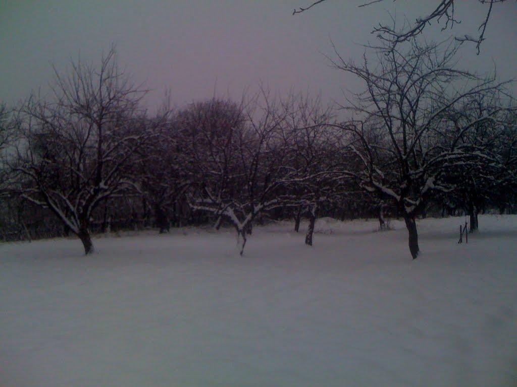 Кам'янка з panoramio.com - Кам'янка