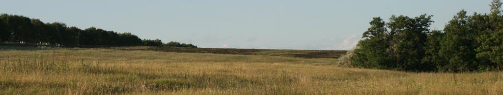 Шестакове з panoramio.com - Шестакове