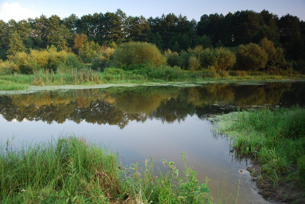 Романівка з panoramio.com - Романовка