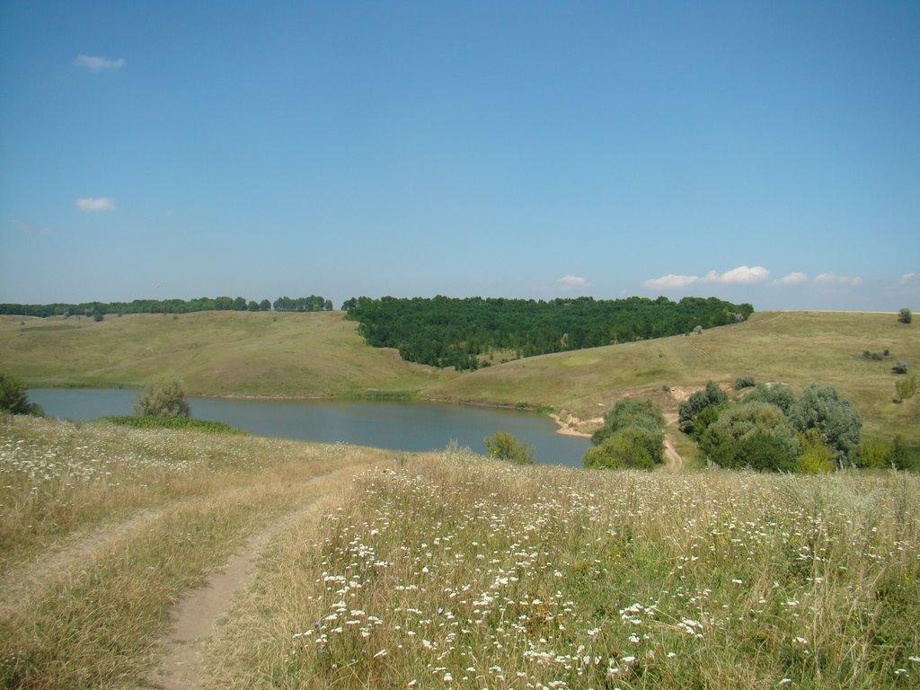 Демівщина з panoramio.com - Demivschyna