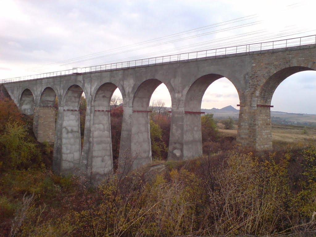 Голубівське з panoramio.com - Golubivske