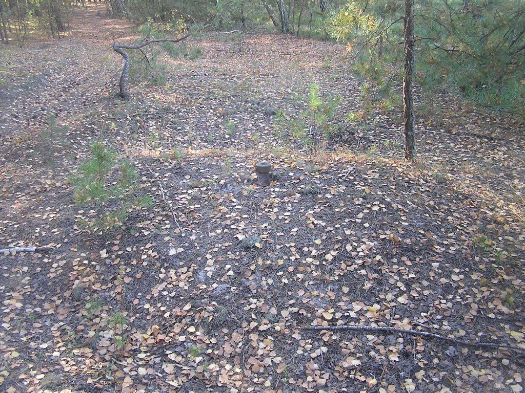 Круги з panoramio.com - Круги