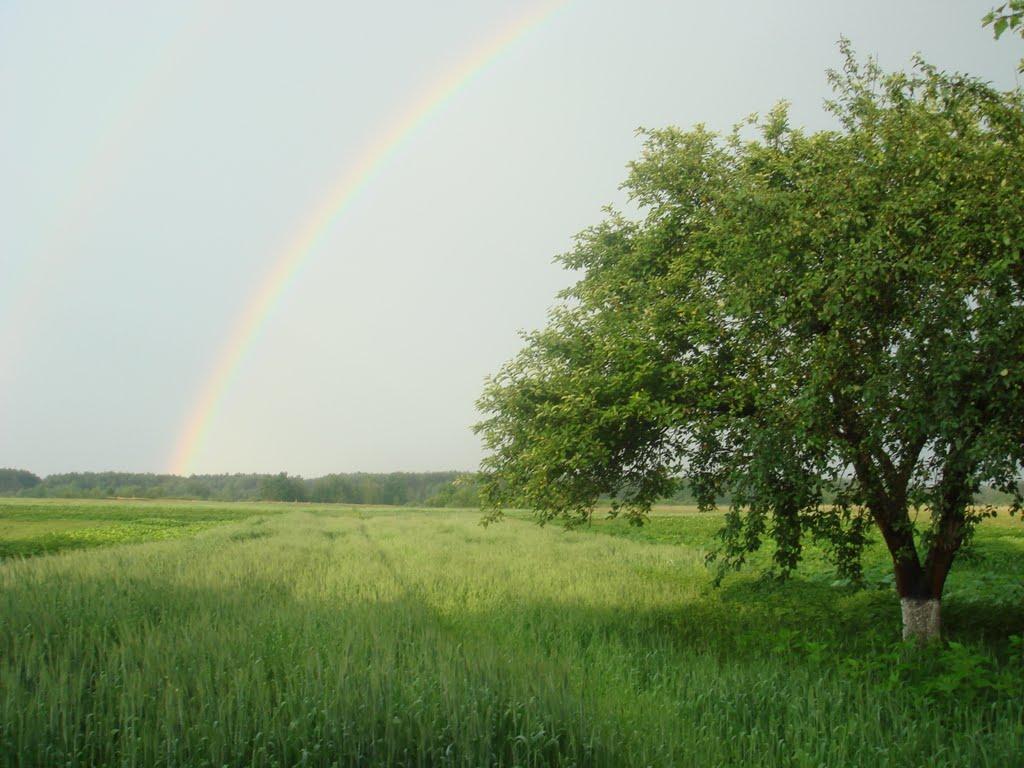 Куликовичі з panoramio.com - Kulykovychi