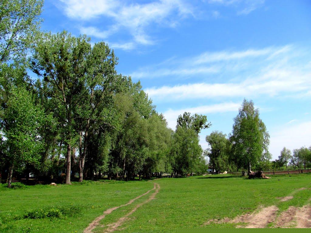 Голубинка з panoramio.com - Голубинка