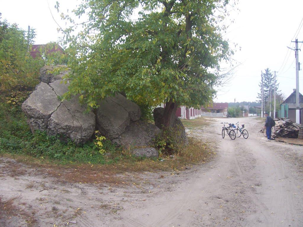 Гута-Межигірська з panoramio.com - Гута-Межигірська