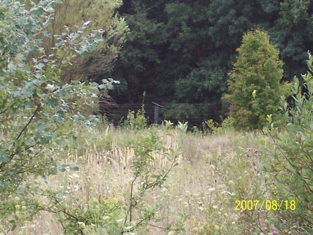 Мале Попово з panoramio.com - Малое Поповое